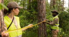 Tree Surgeons