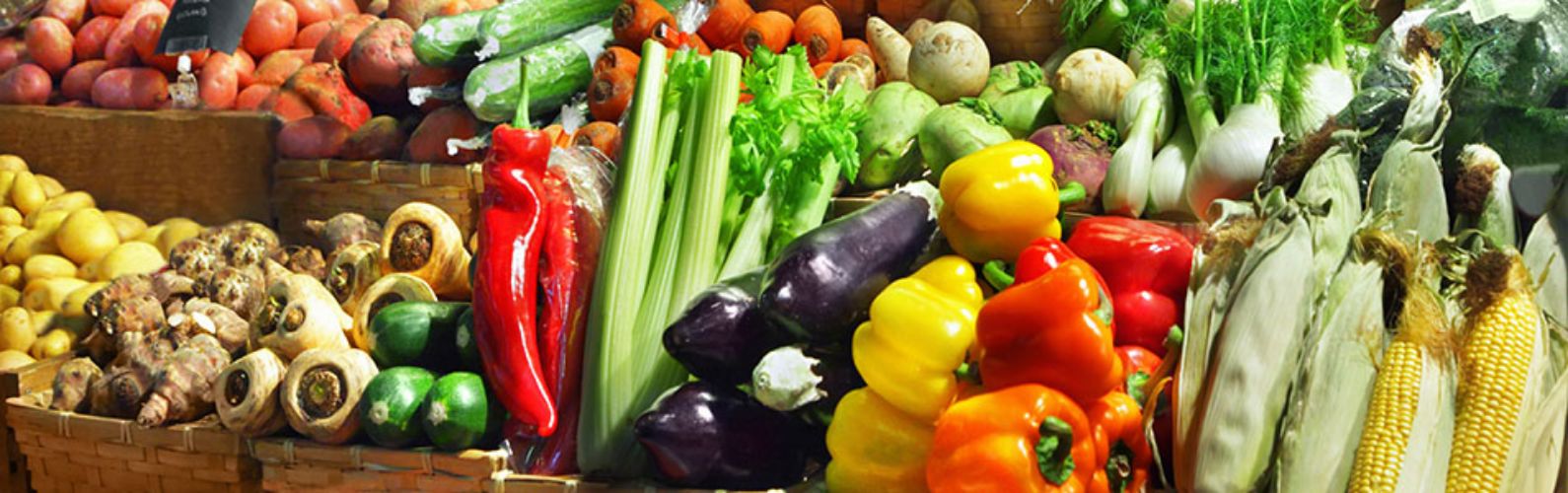 Deadly Brain Tumor May React To A Specialized Diet - 5Chat
